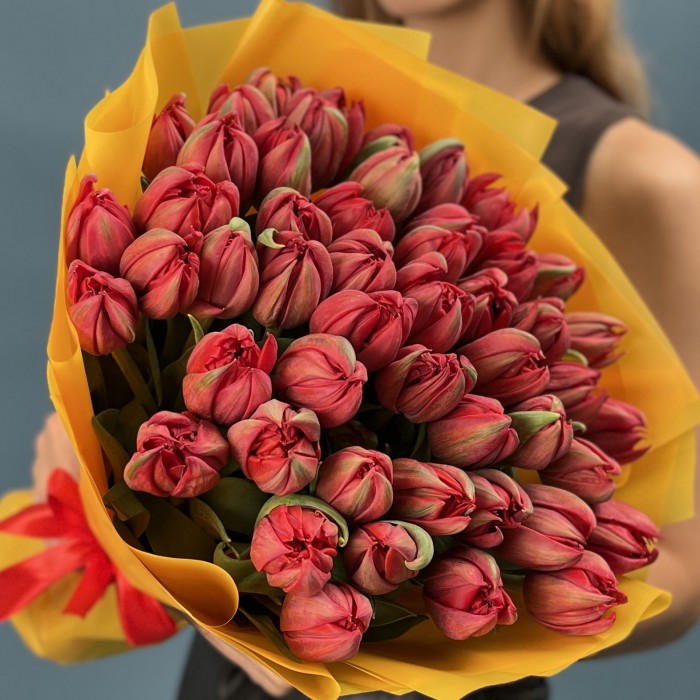 51 красный пионовидный тюльпан  Ред Принц